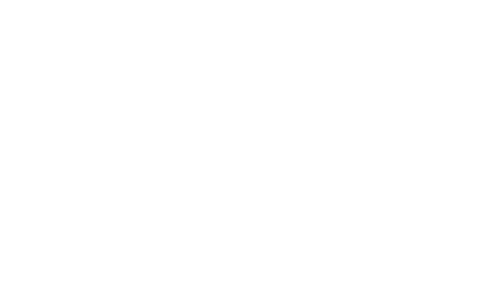 Origine del Vino Logo